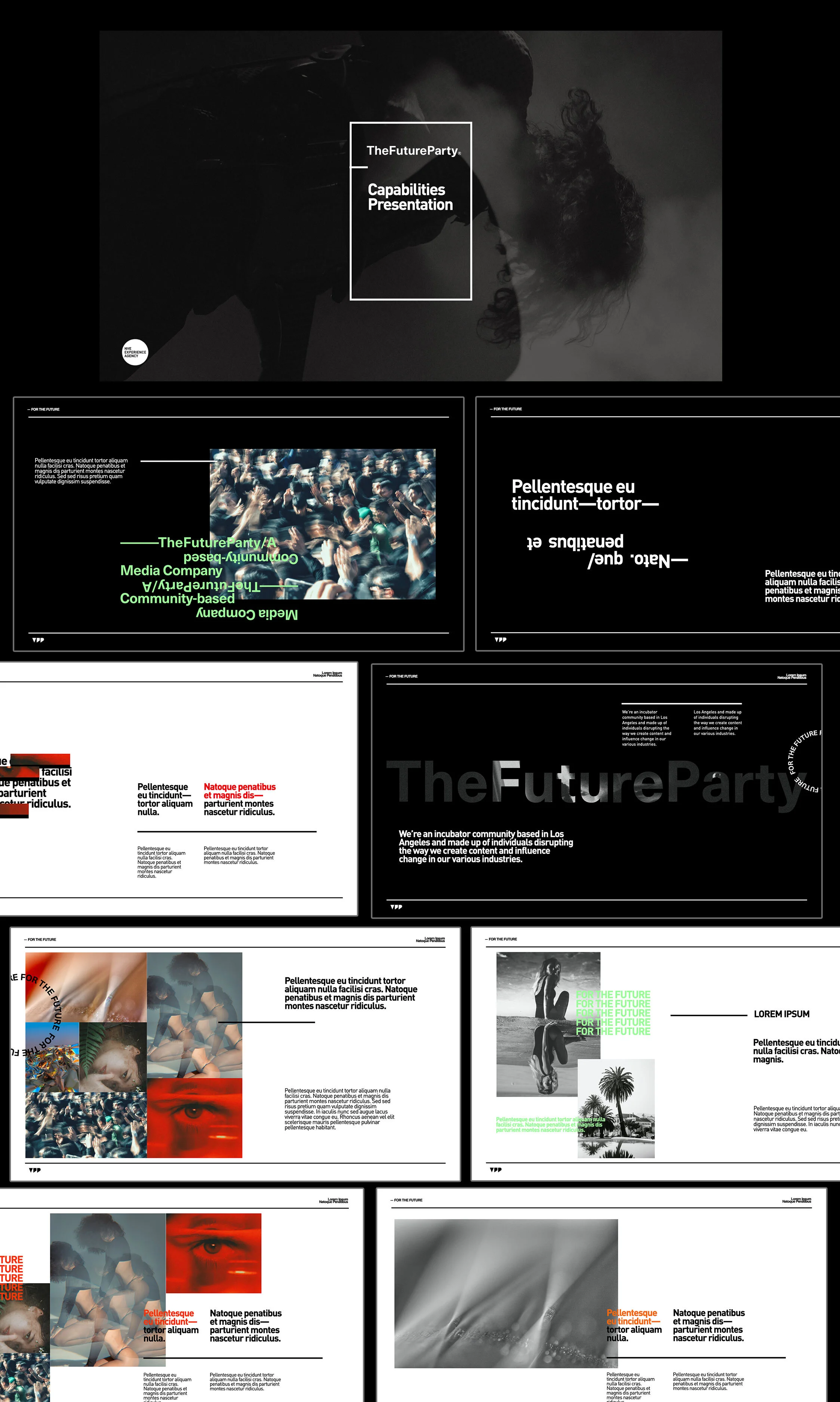 tfp01.jpg