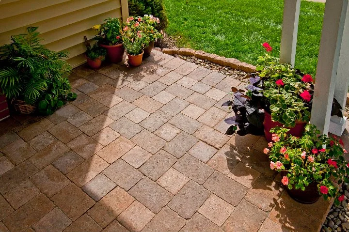 Signs that your Berks County Backyard Needs Professional Landscape Maintenance