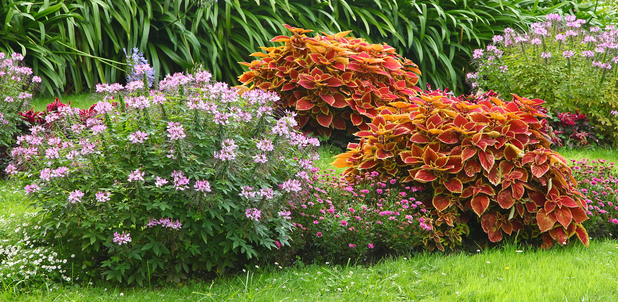 Improve the Health of Your Plant Beds with Landscape Maintenance in Schuylkill County, PA