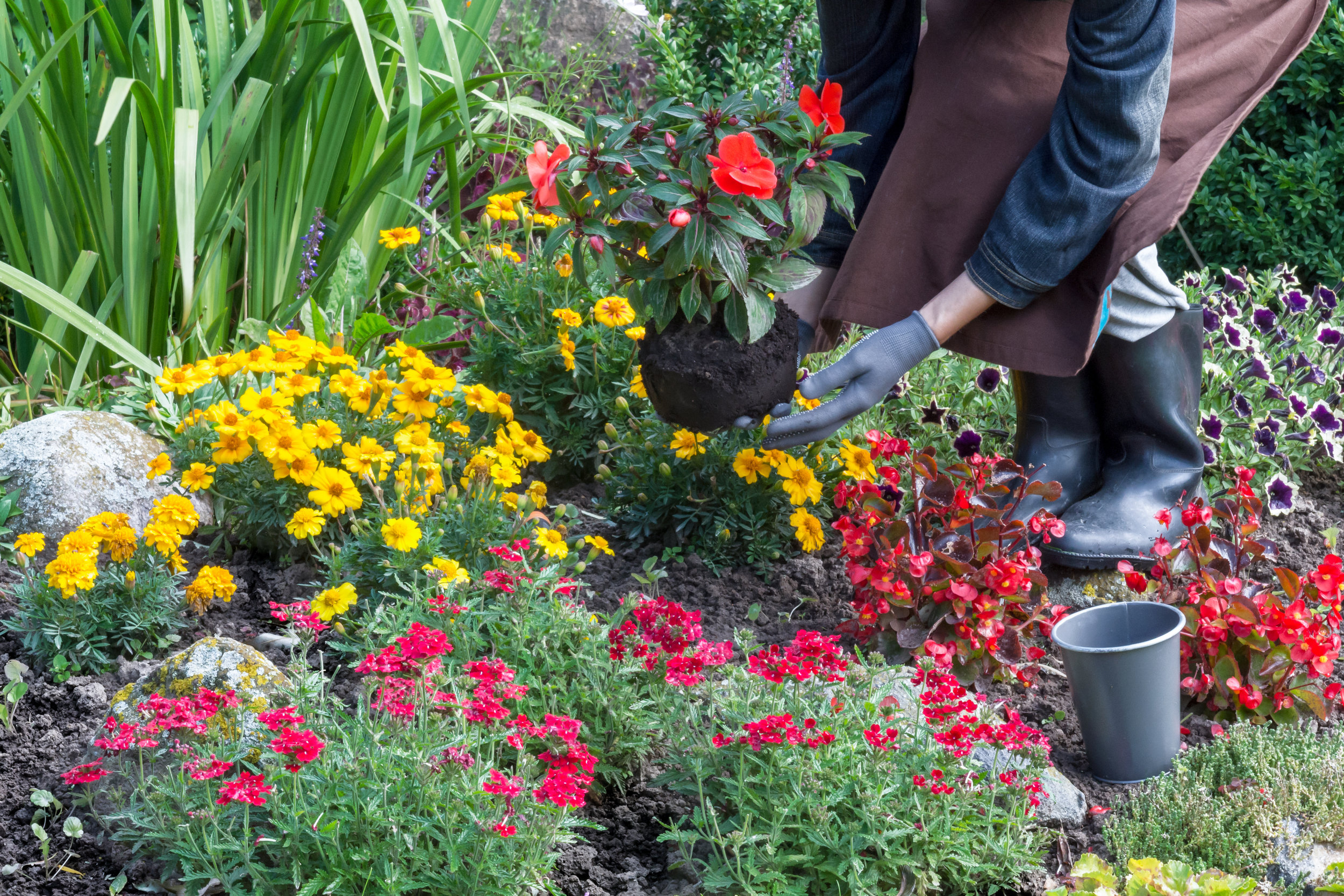 Ensure a Healthy and Blooming Flower Garden with Professional Landscape Maintenance in Lebanon, PA