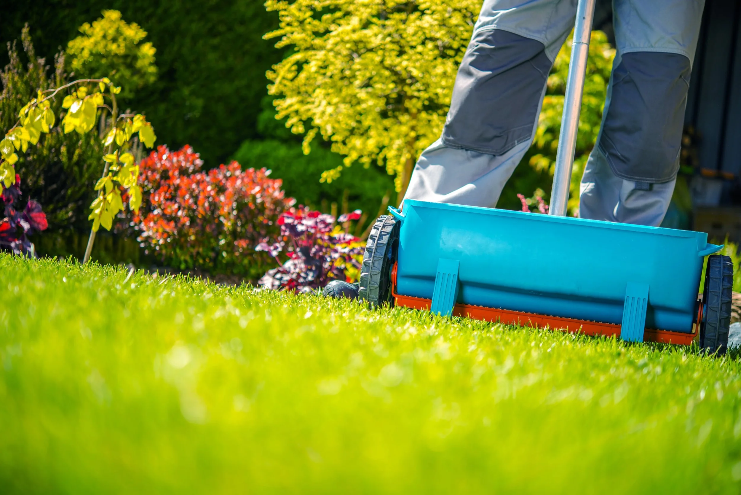 Why Fertilization Should Be Part of Your Lawn Care in South Whitehall, PA