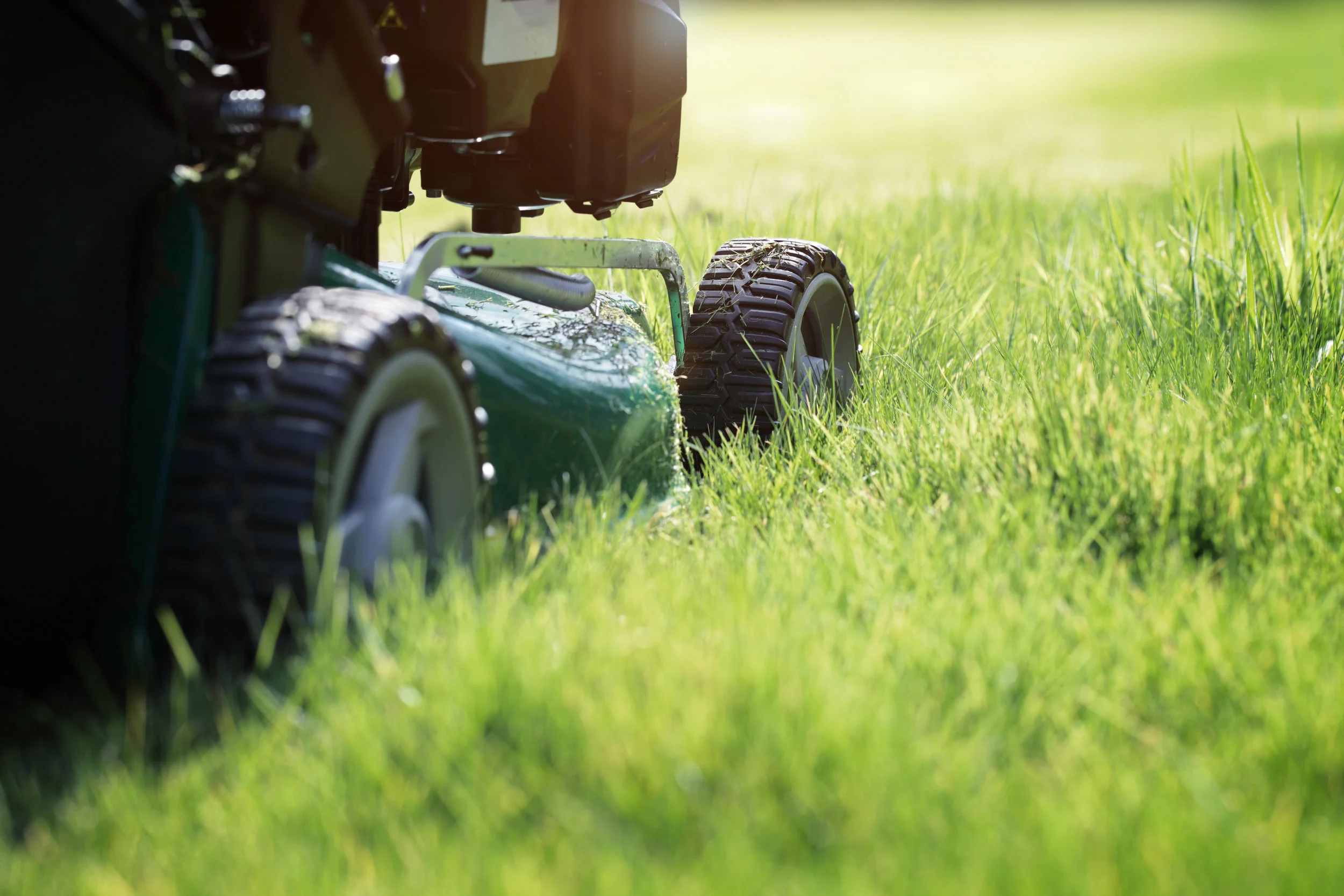 The Ways Lawn Care Can Extend the Longevity of Your Lehigh County, PA, Property