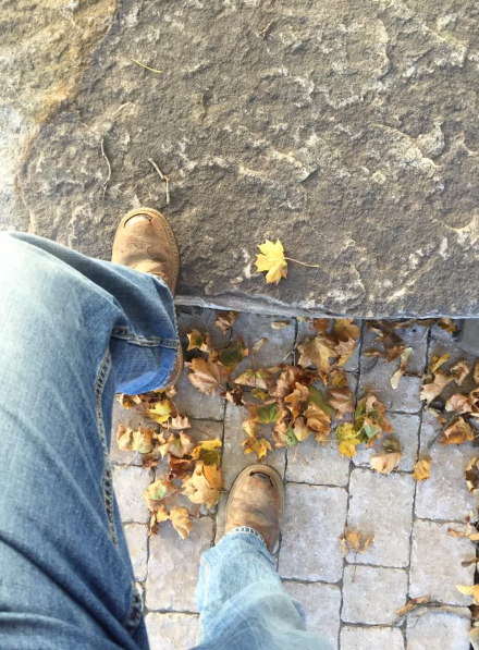 4 Reasons to Hire a Landscape Maintenance Company for Seasonal Fall Maintenance in Pottsville, PA