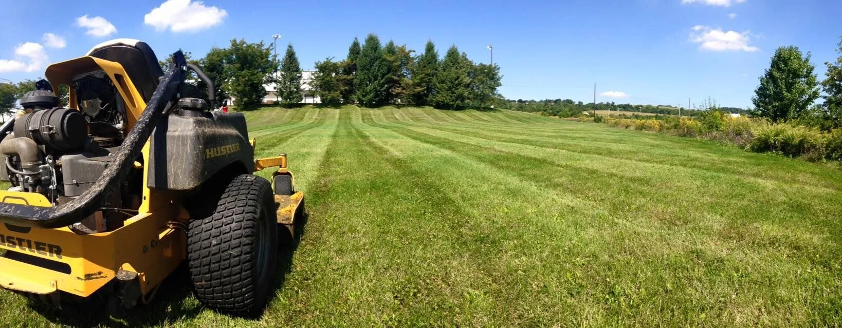 Minimizing Landscape Maintenance in Reading and Pottsville, PA Areas