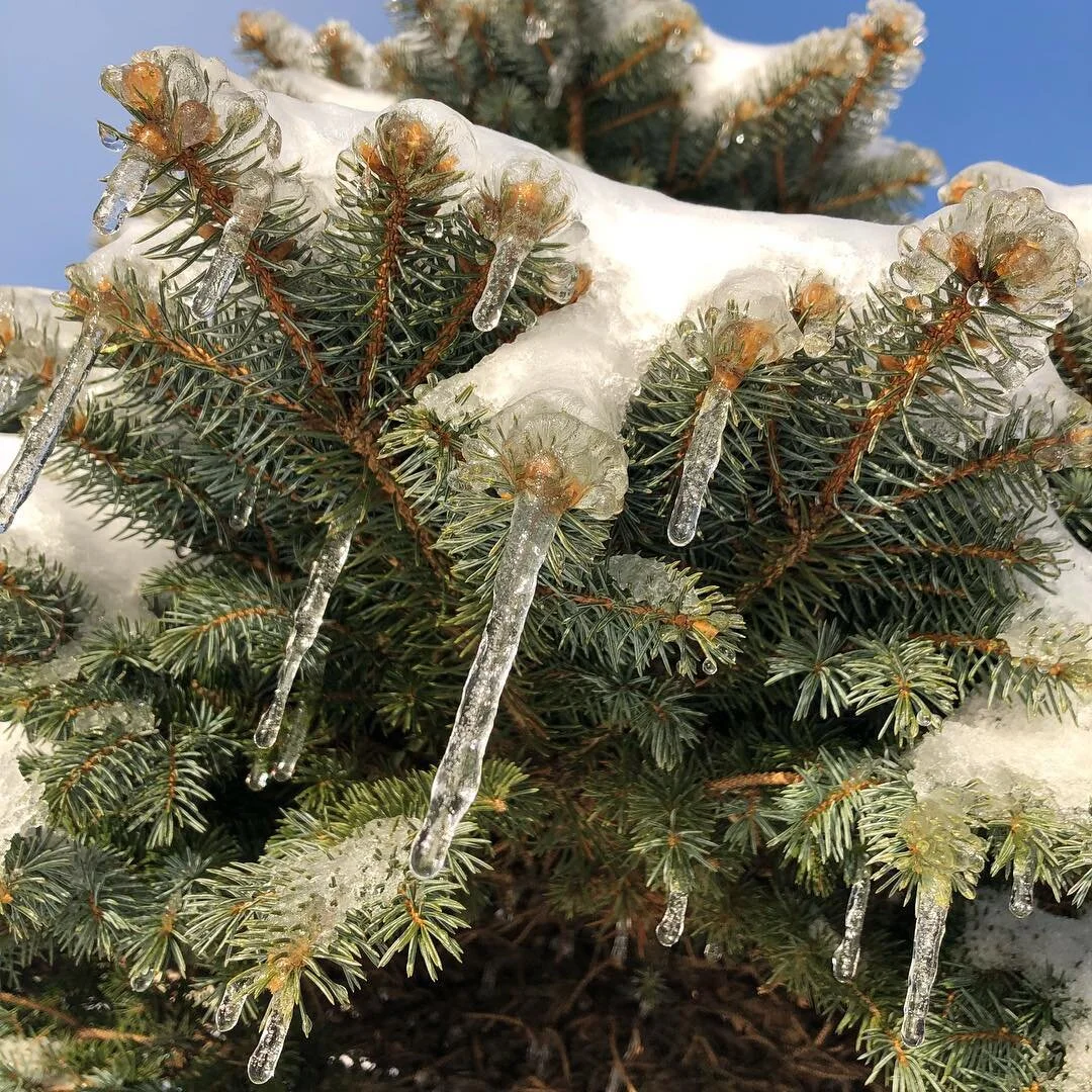 Does a Landscape Contractor Continue Landscape Maintenance in Winter in Lebanon PA?