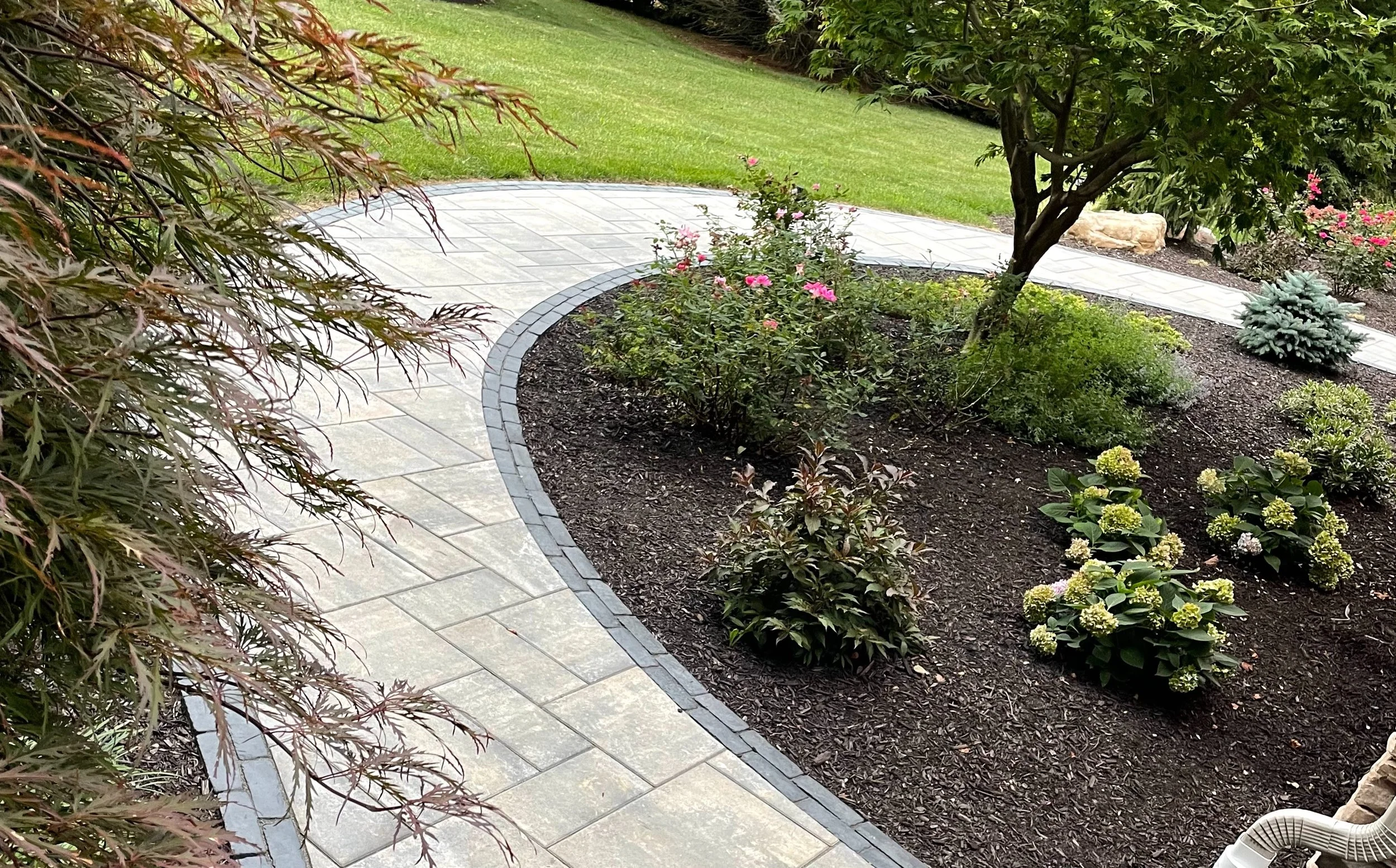 Why Native Plantings Are Perfect for Berks County and Hamburg, PA Backyards