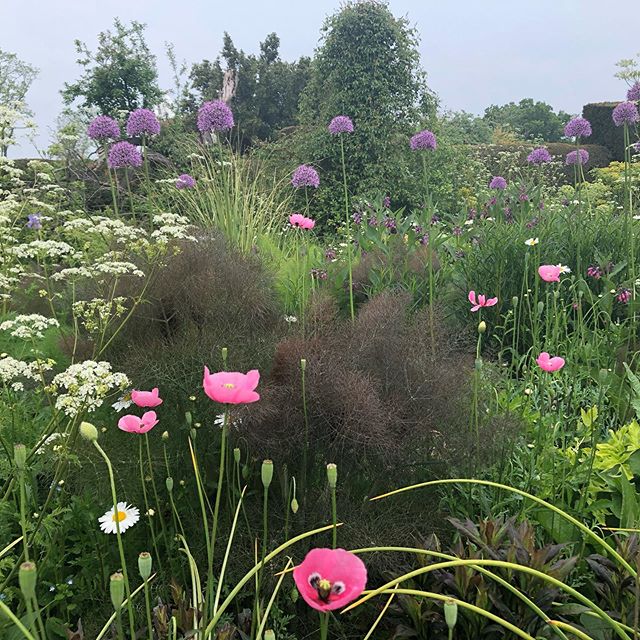 Some photos from the amazing Great Dixter House and Gardens.  A pleasure to experience this creative and beautiful garden in spring, lead by the exceptionally talented and generous Fergus Garrett.  Lovely combinations of Beth&rsquo;s poppy, bronze fe
