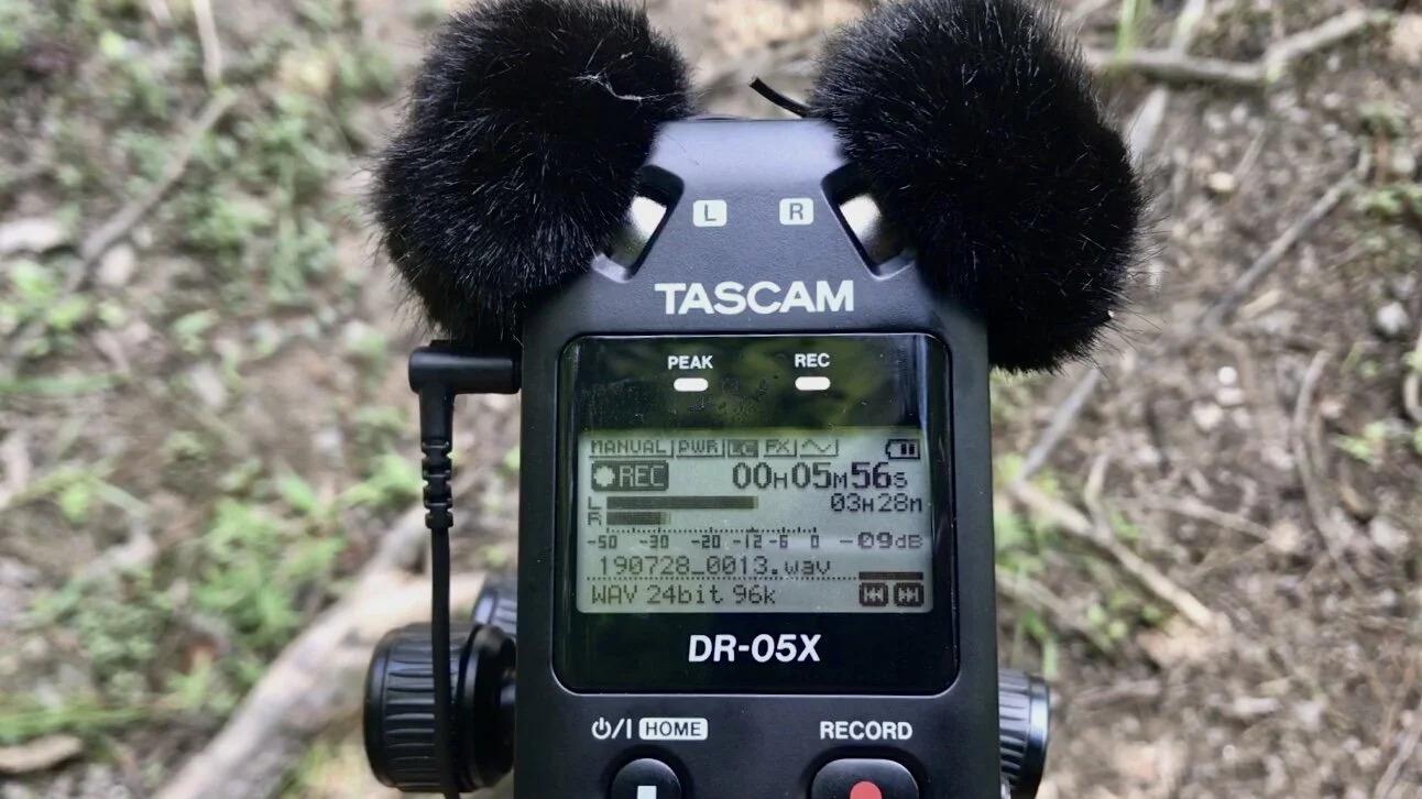 What I Like About Tascam DR-05X Audio Recorder (Honest Review) 