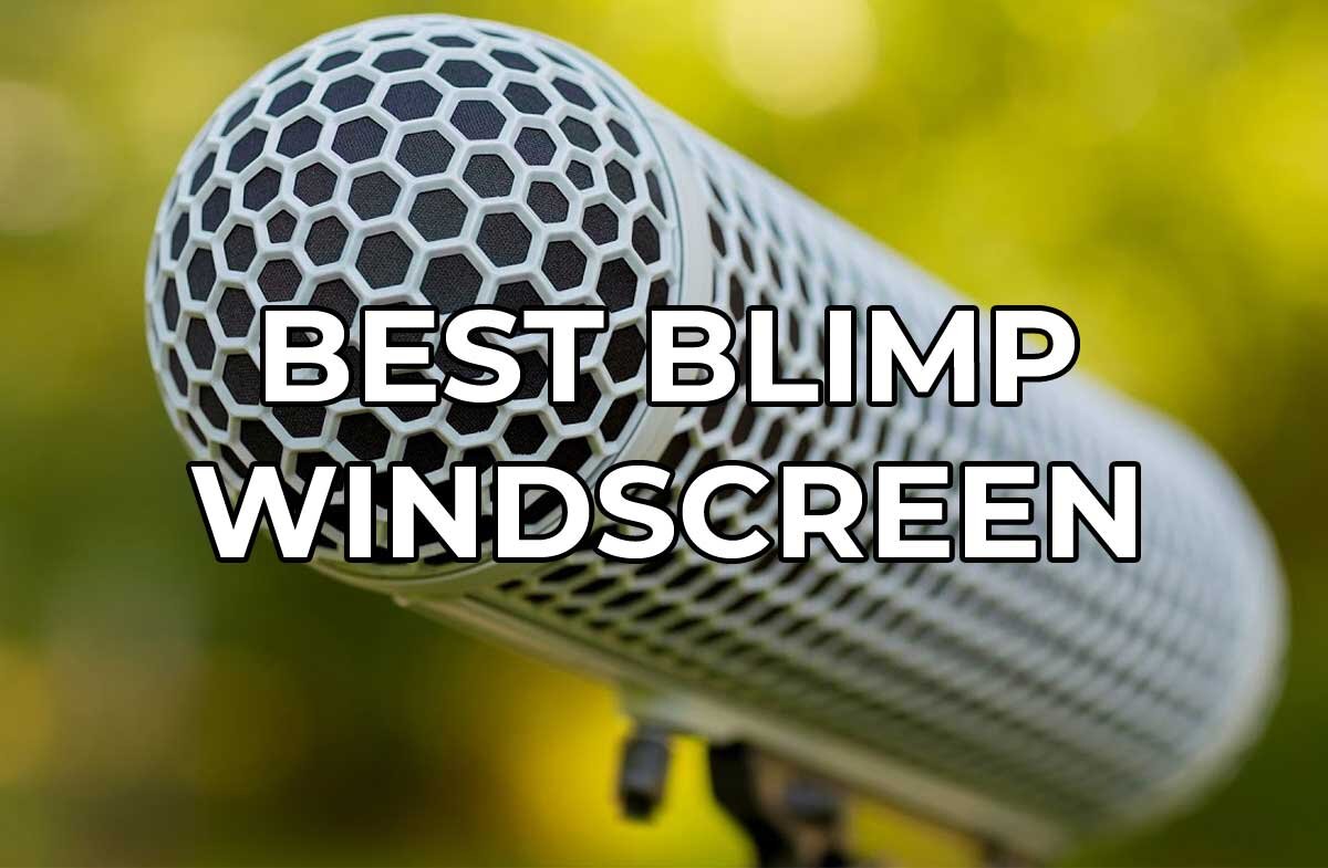 Best Blimp For Microphone Wind