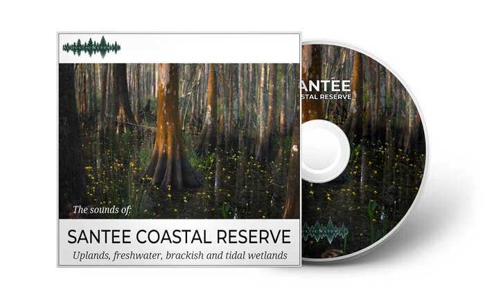 Santee Coastal Reserve, SC