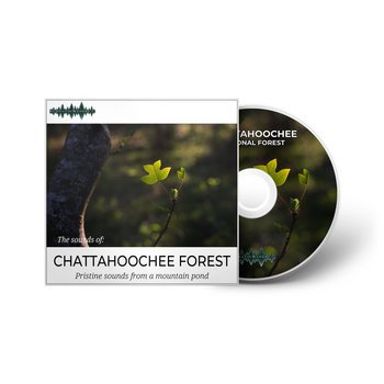 Chattahoochee National Forest, GA