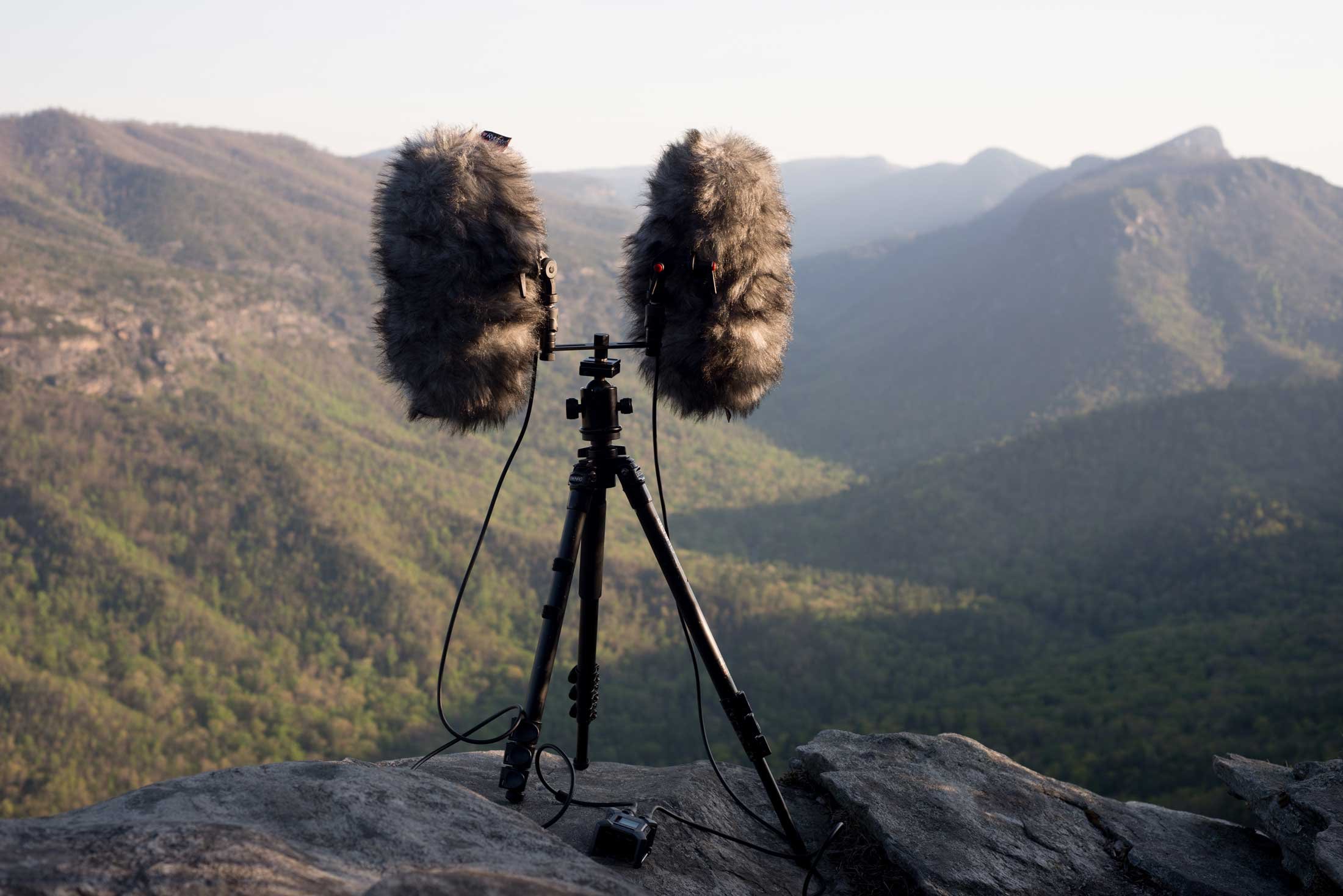 How To Record Nature Sounds: The Ultimate Guide — Acoustic Nature