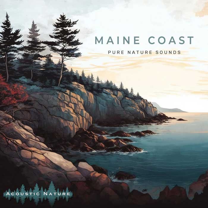 maine-coast.jpg