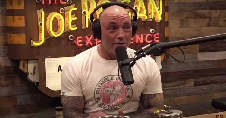What Microphone Does Joe Rogan Use? — Acoustic Nature