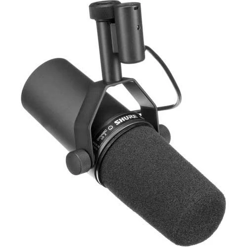 What Microphone Does Joe Rogan Use? — Acoustic Nature