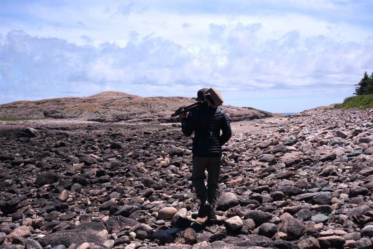 Best Microphone for Recording Nature Sounds (Ultimate Guide) — Acoustic