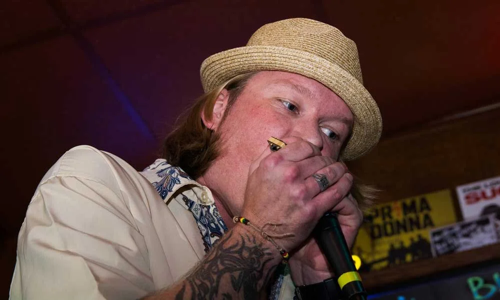 Best Harmonica Microphone — Acoustic Nature