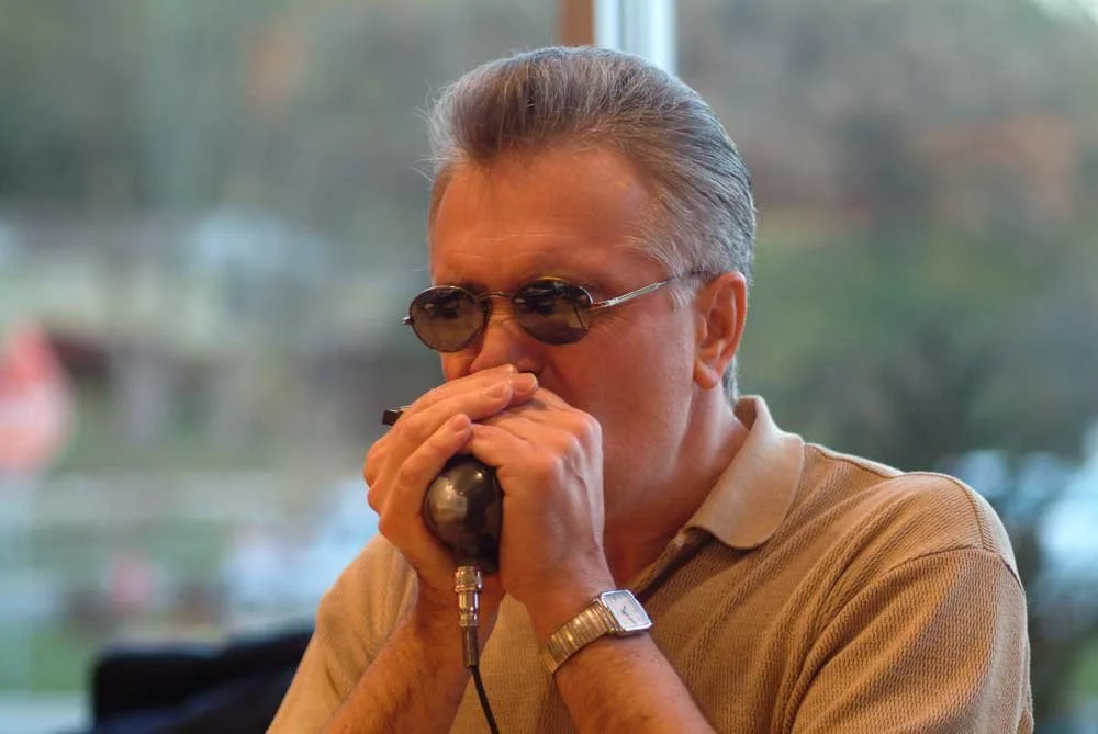 Best Harmonica Microphone — Acoustic Nature