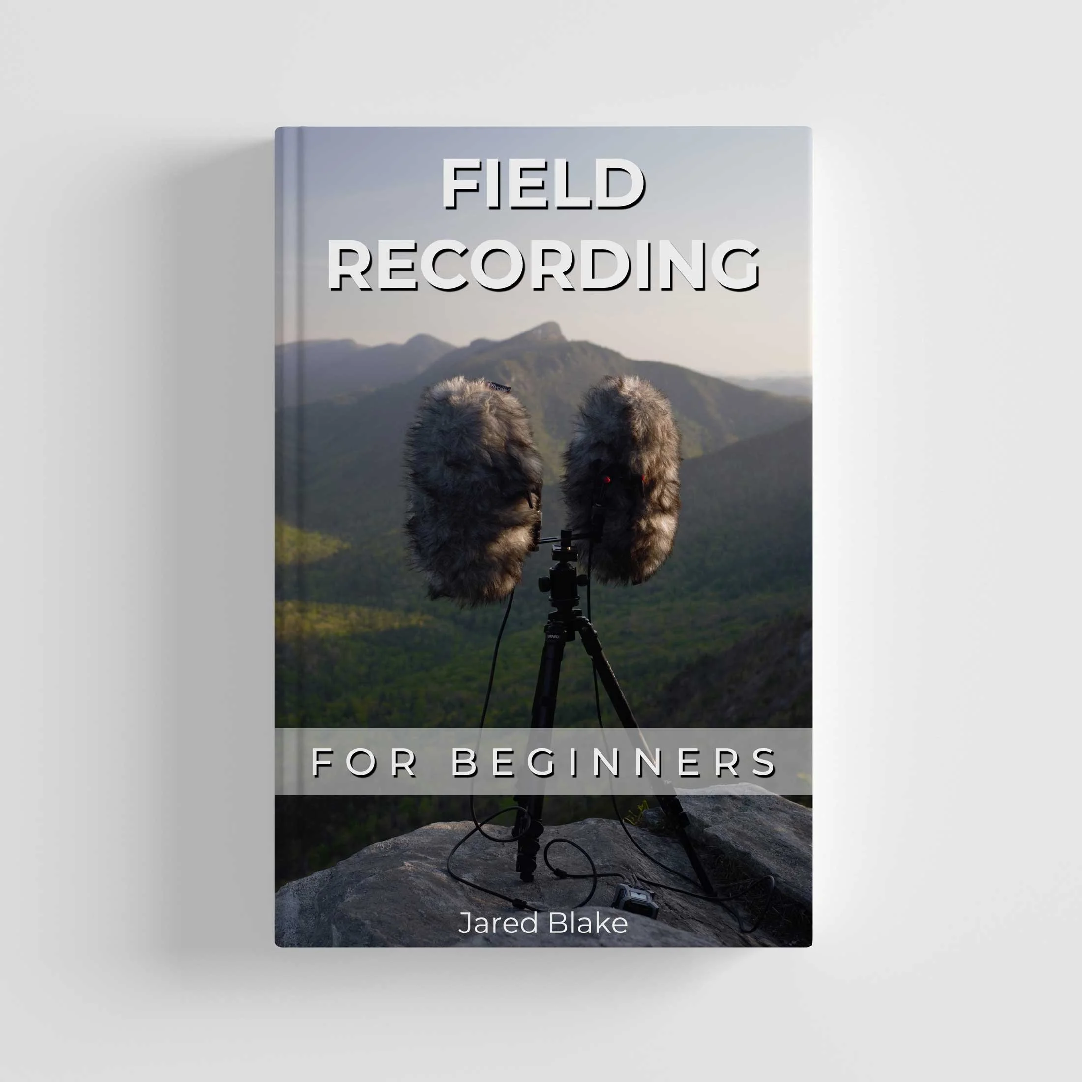 Acoustic Nature — Field Recording Blog
