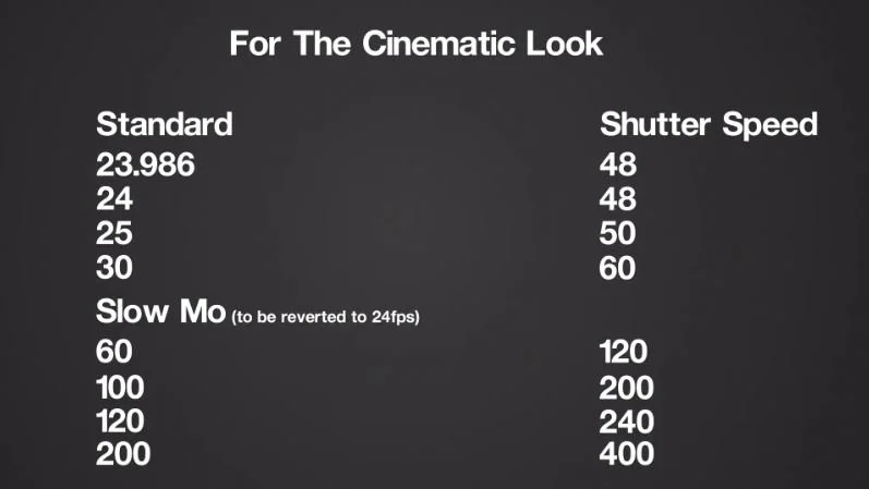 Best Video Camera For Wildlife and Nature Filmmaking — Acoustic Nature