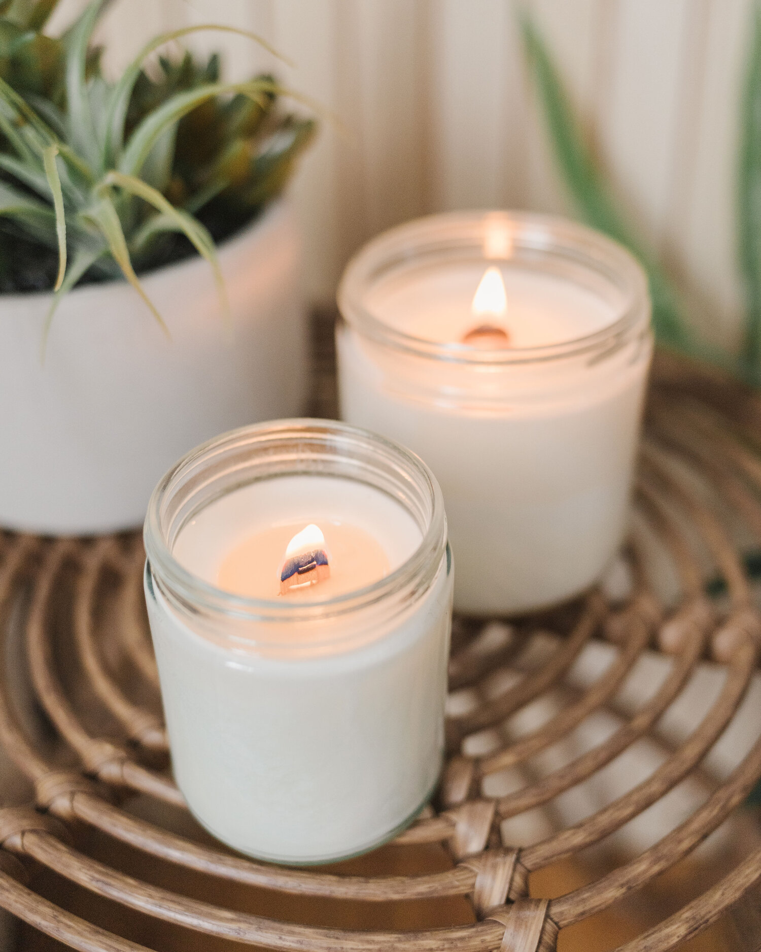 Wood Wick Candles  Crackling, Calming, & Cozy — Grand Rapids