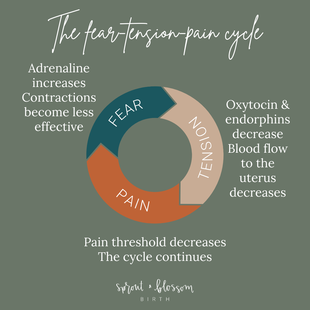 Fear-Tension-Pain cycle mindful labor.png