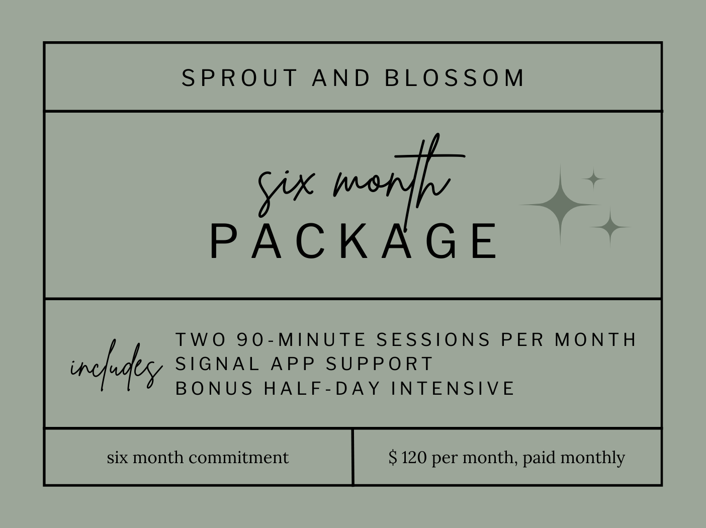 Six Month Package.png