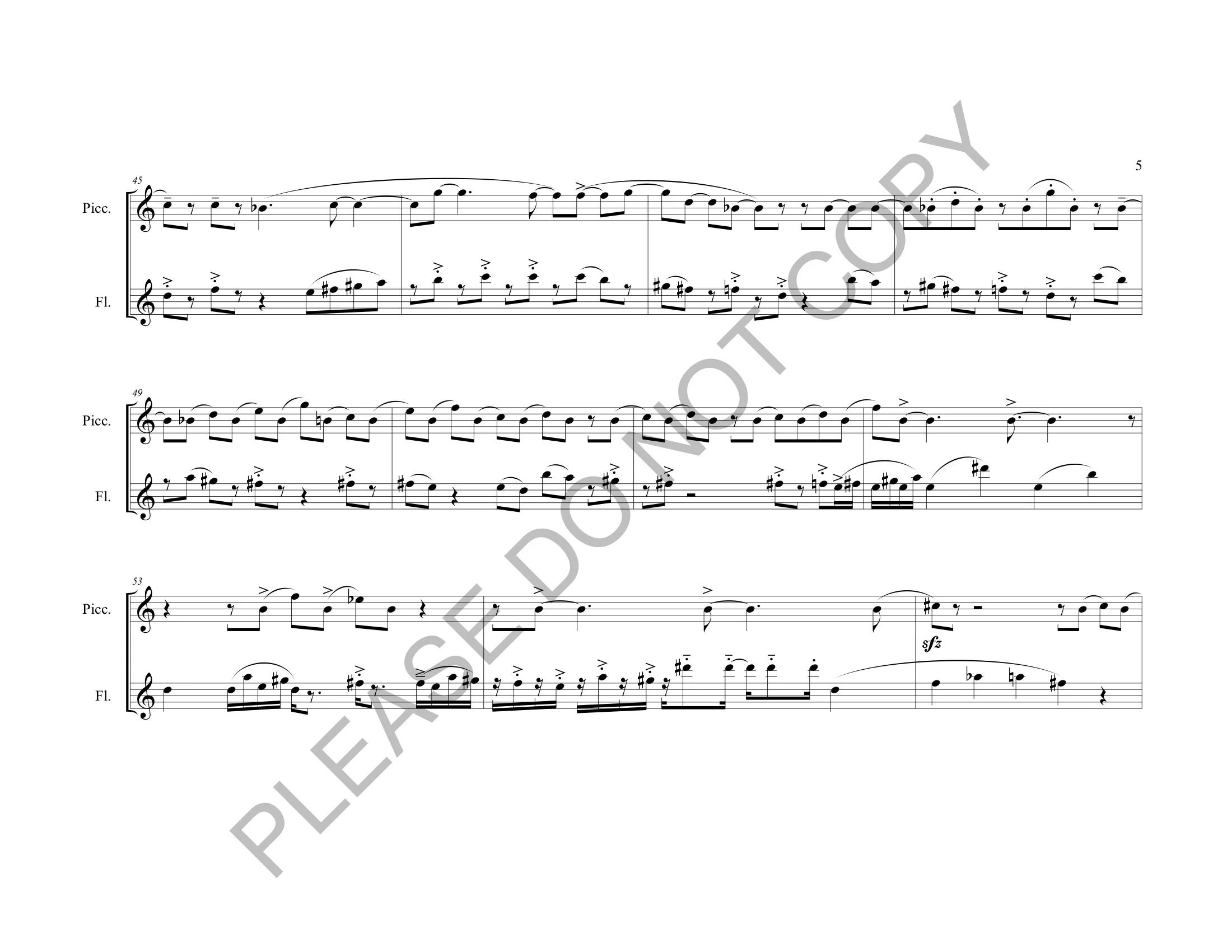 2 Duets for Piccolo and Flute PE Legal Size-watermark 13-13.jpeg
