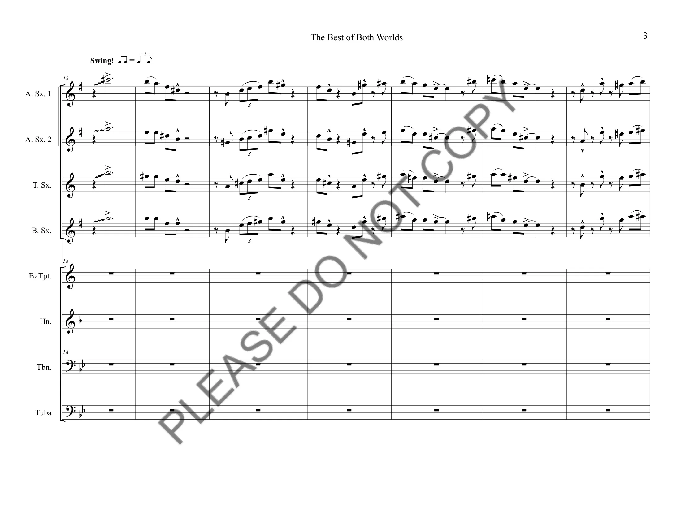 The Best of Both Worlds_watermark 5-05.jpeg