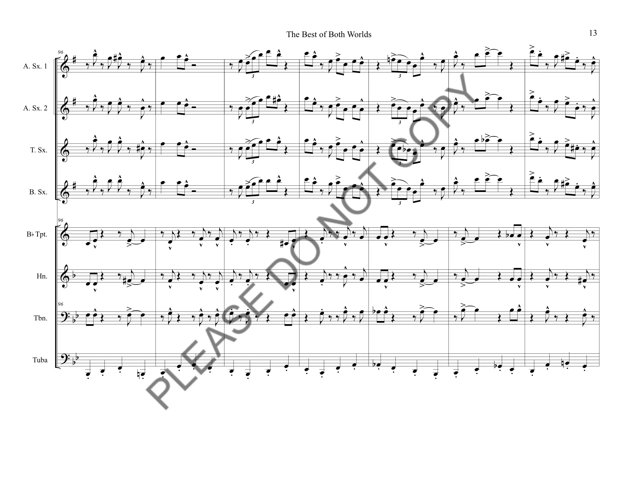 The Best of Both Worlds_watermark 15-15.jpeg