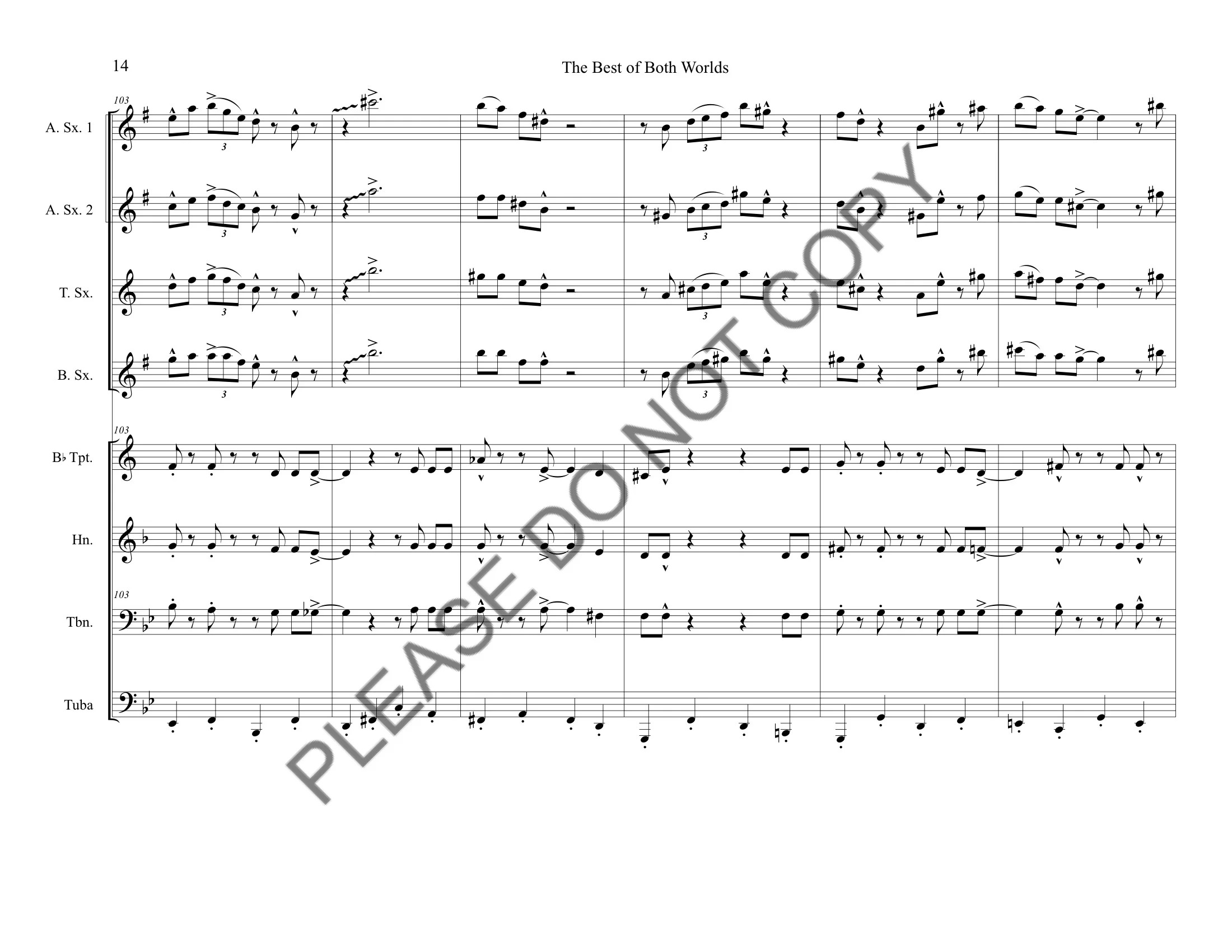 The Best of Both Worlds_watermark 16-16.jpeg