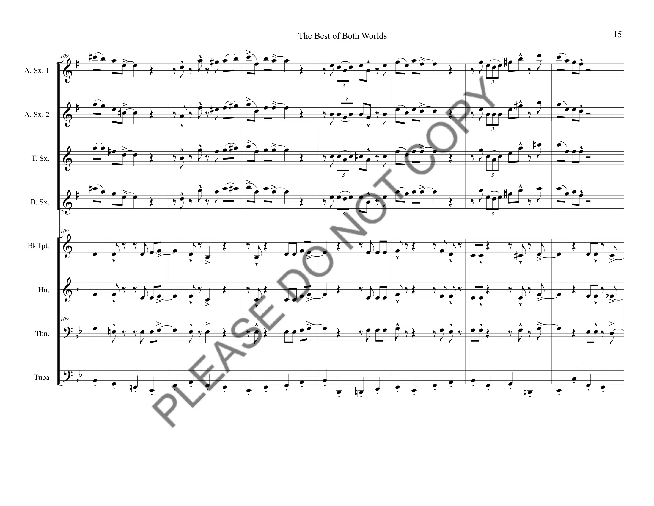 The Best of Both Worlds_watermark 17-17.jpeg