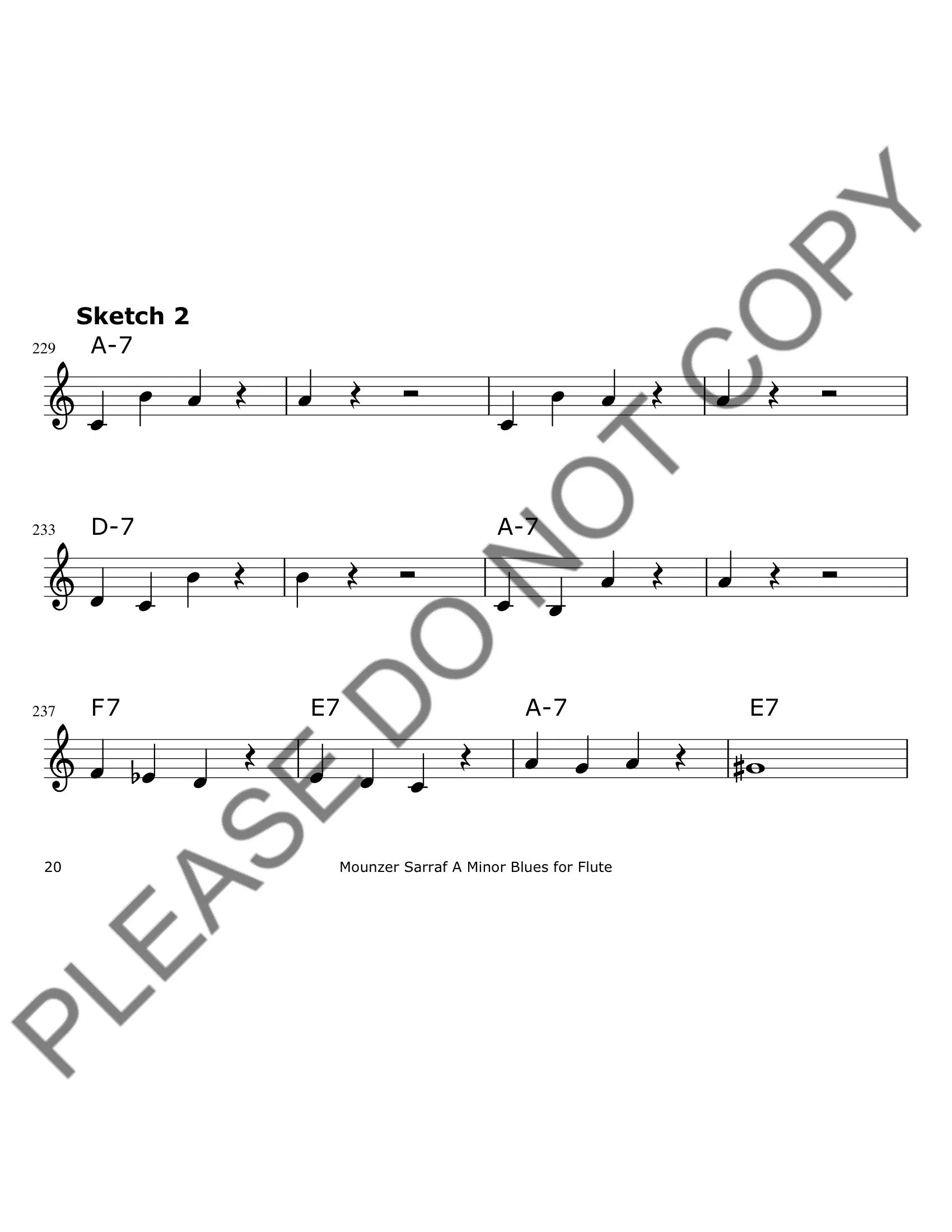 01 A Minor Blues Flute_watermark 20-20.jpeg