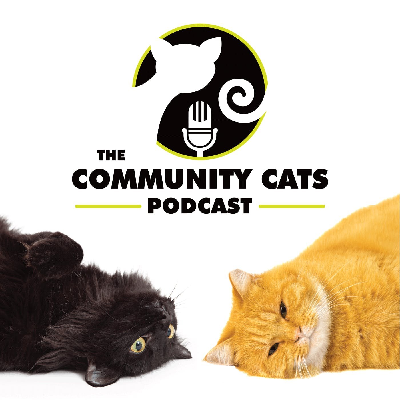 Community Cats.jpg