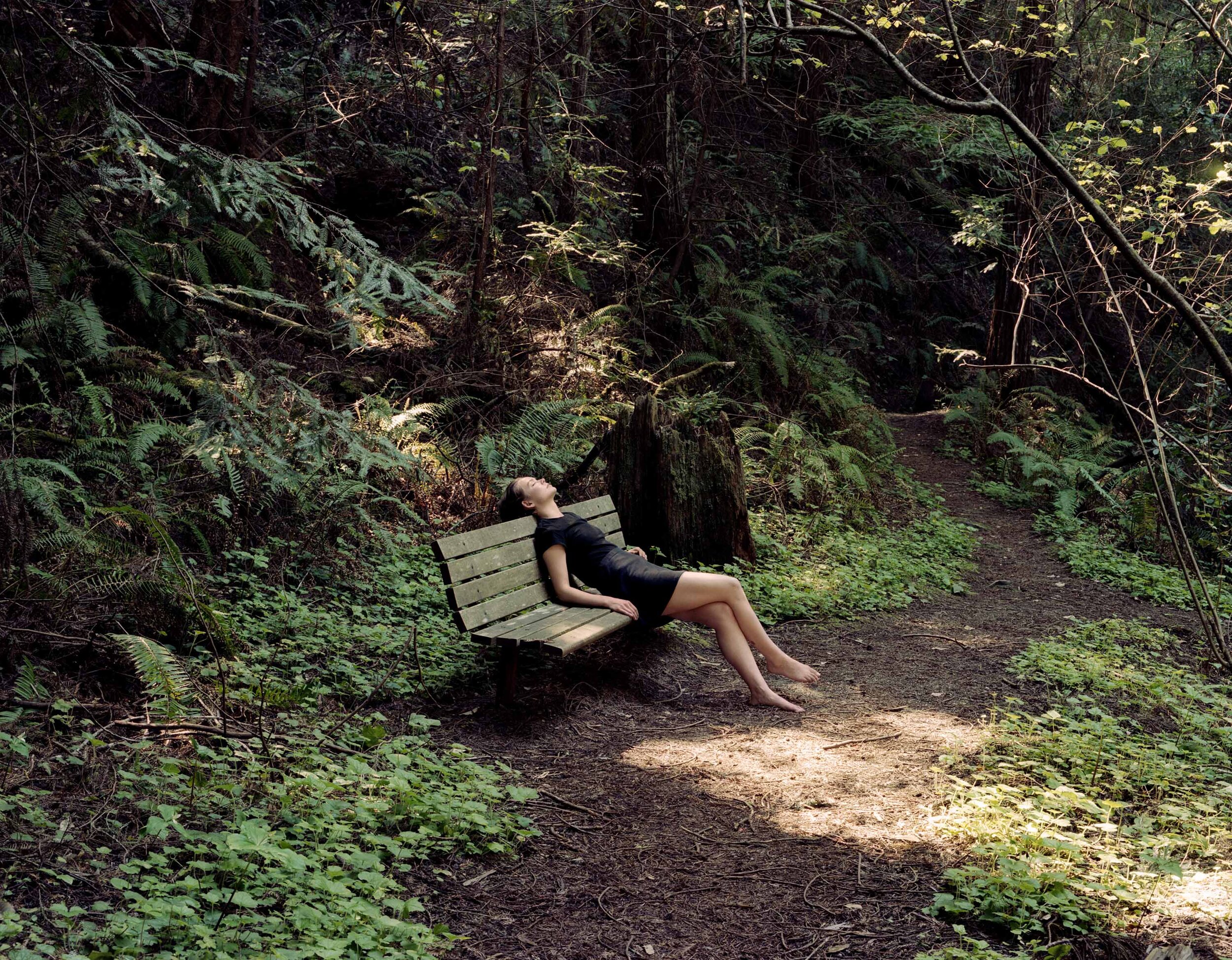 austin schermerhorn photography redwoods portrait girl.jpg