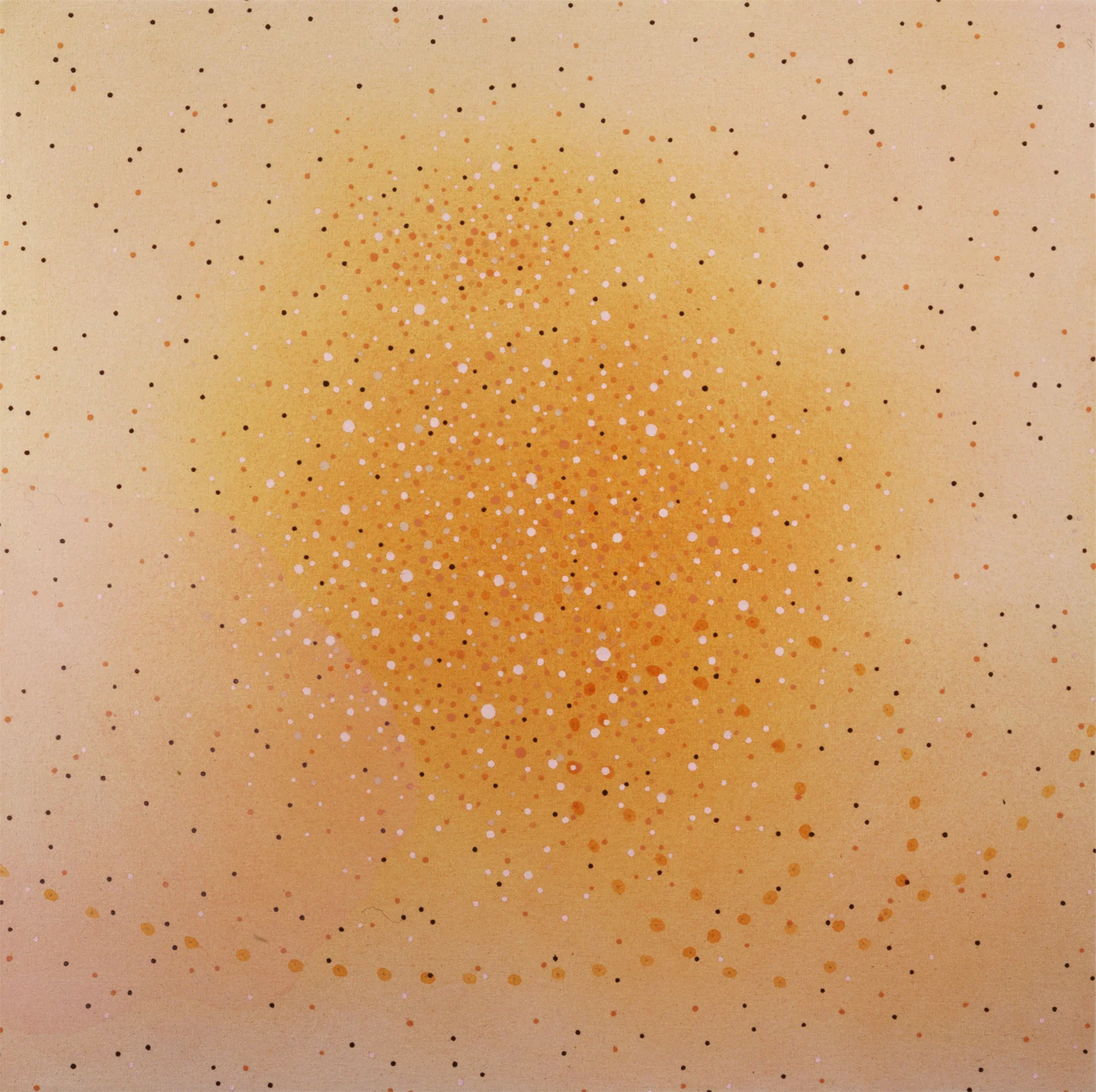 Mango Stain Vata 51