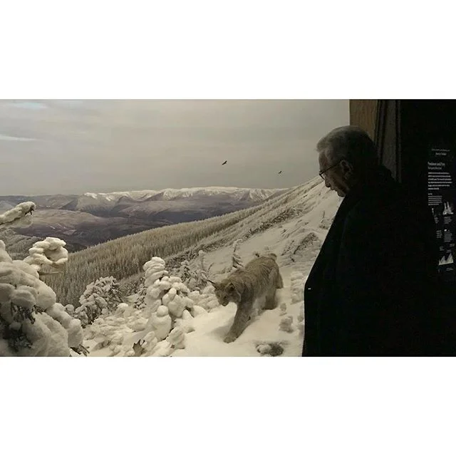 leisure. pt. 2