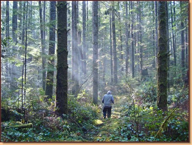 hiking.jpg