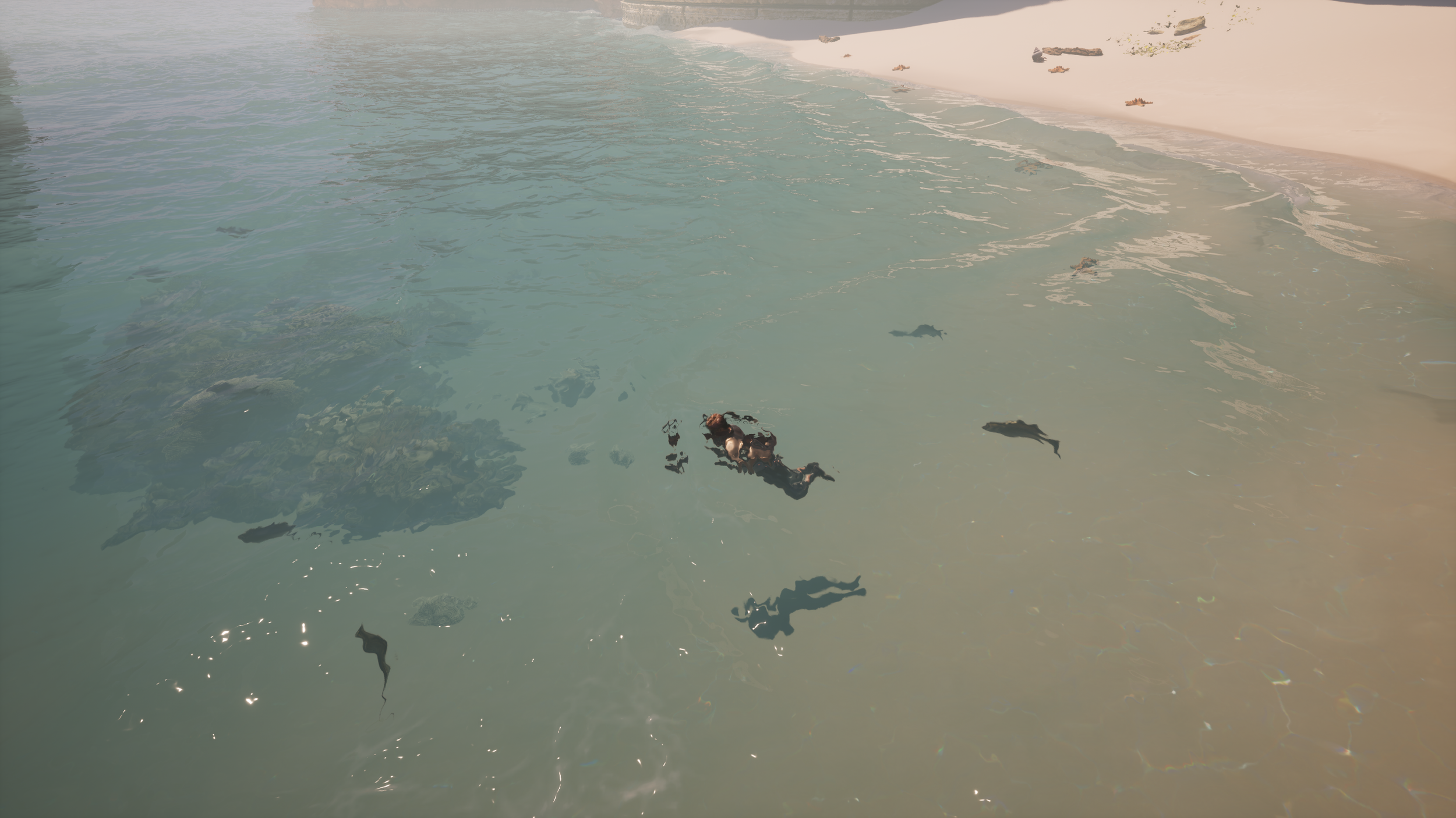 2026-2-3 5h59min56s.png