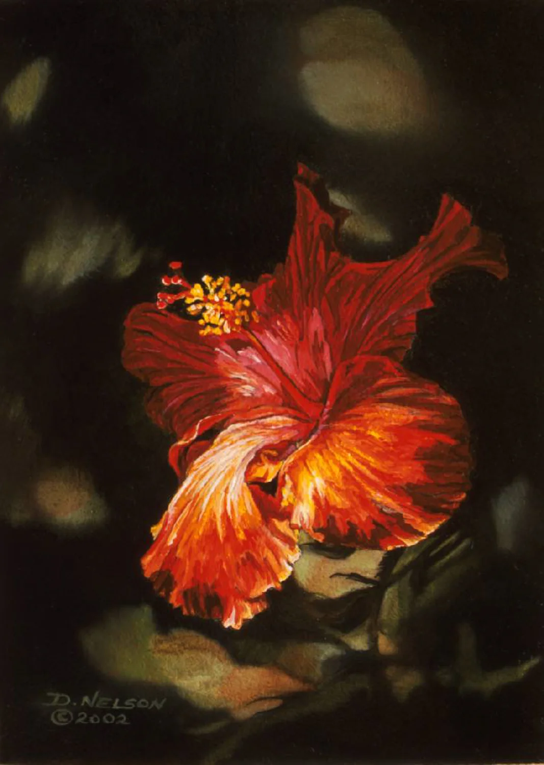 Hibiscus.jpg