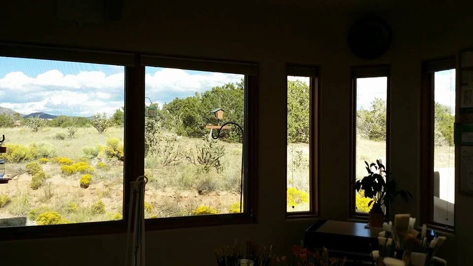 Views from my Studio