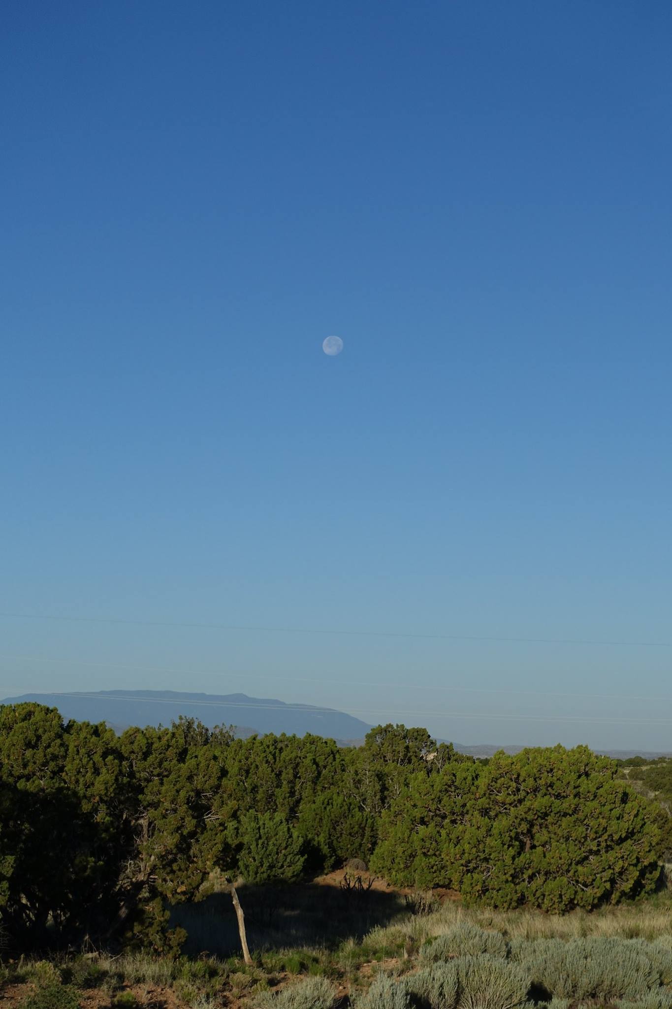 Moon was High Above Sandia Mountains.