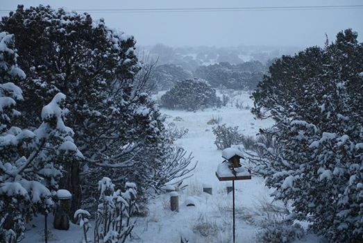 Barely Light Enough to See the Snow