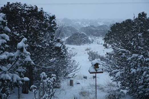 Barely Light Enough to See the Snow