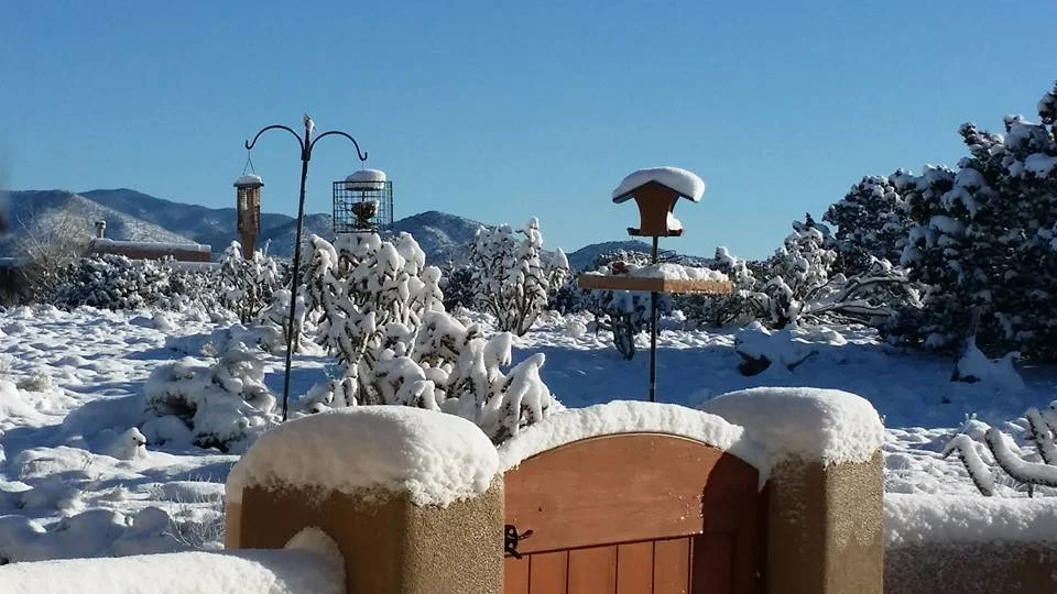 Beautiful Morning After Last Night's Snow