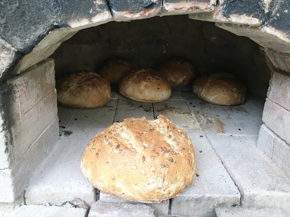 Three seed in oven.jpeg