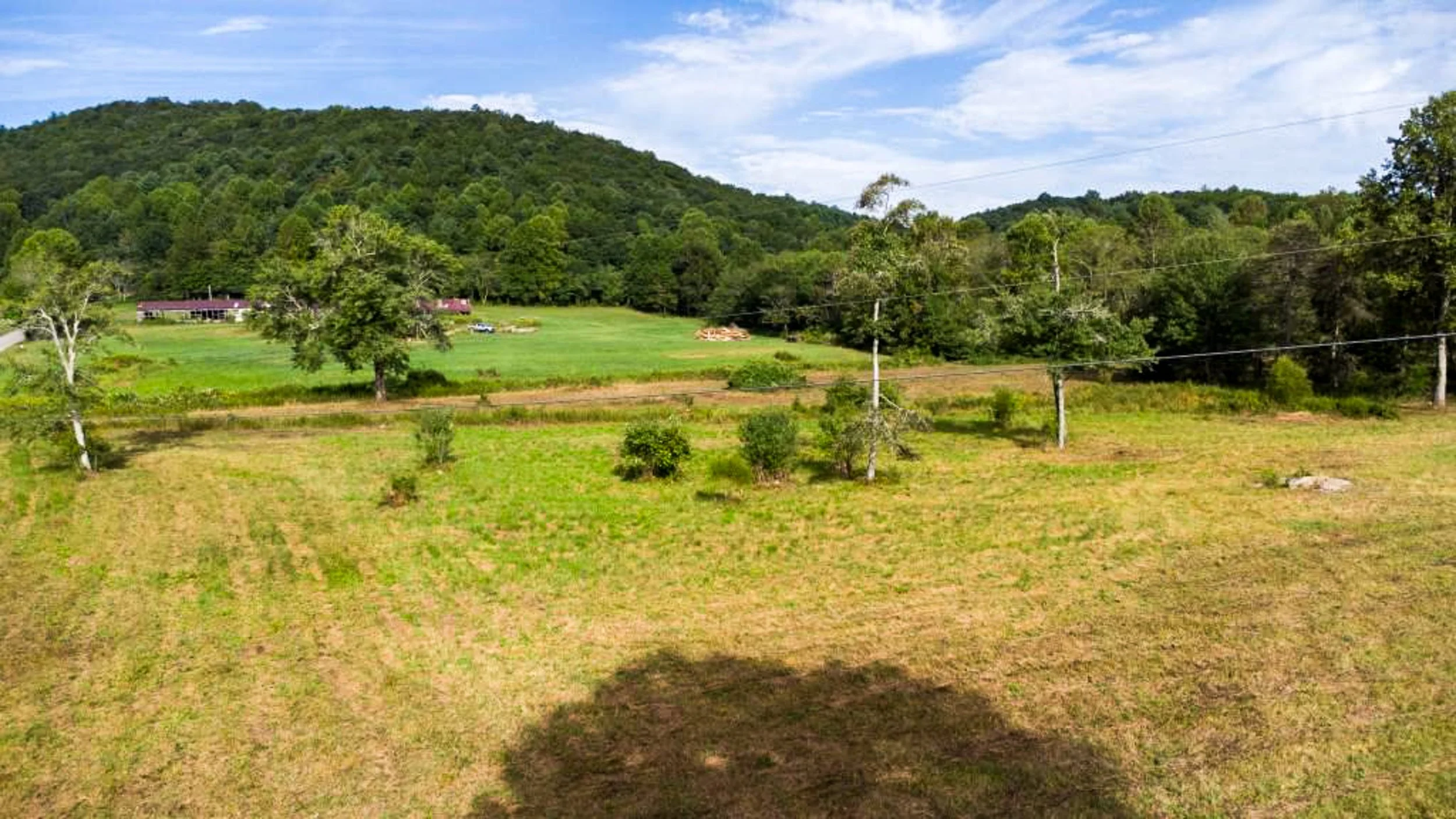 Glen-Elliott-16.jpg