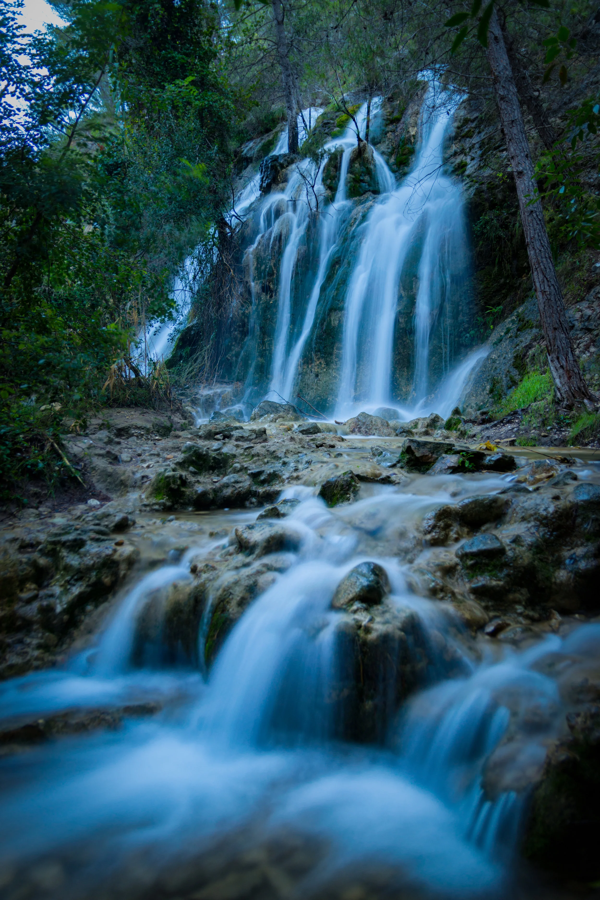DSC_8150-Editar.jpg