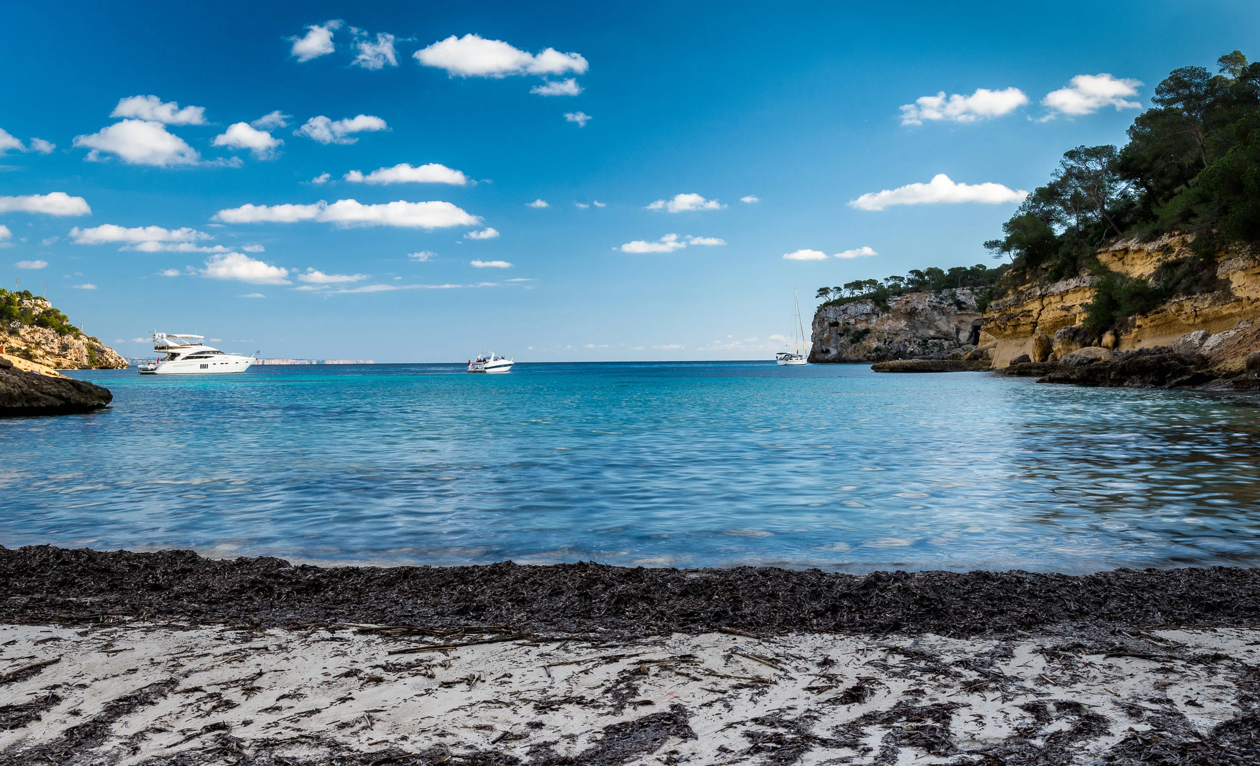 DSC_9020-Editar.jpg
