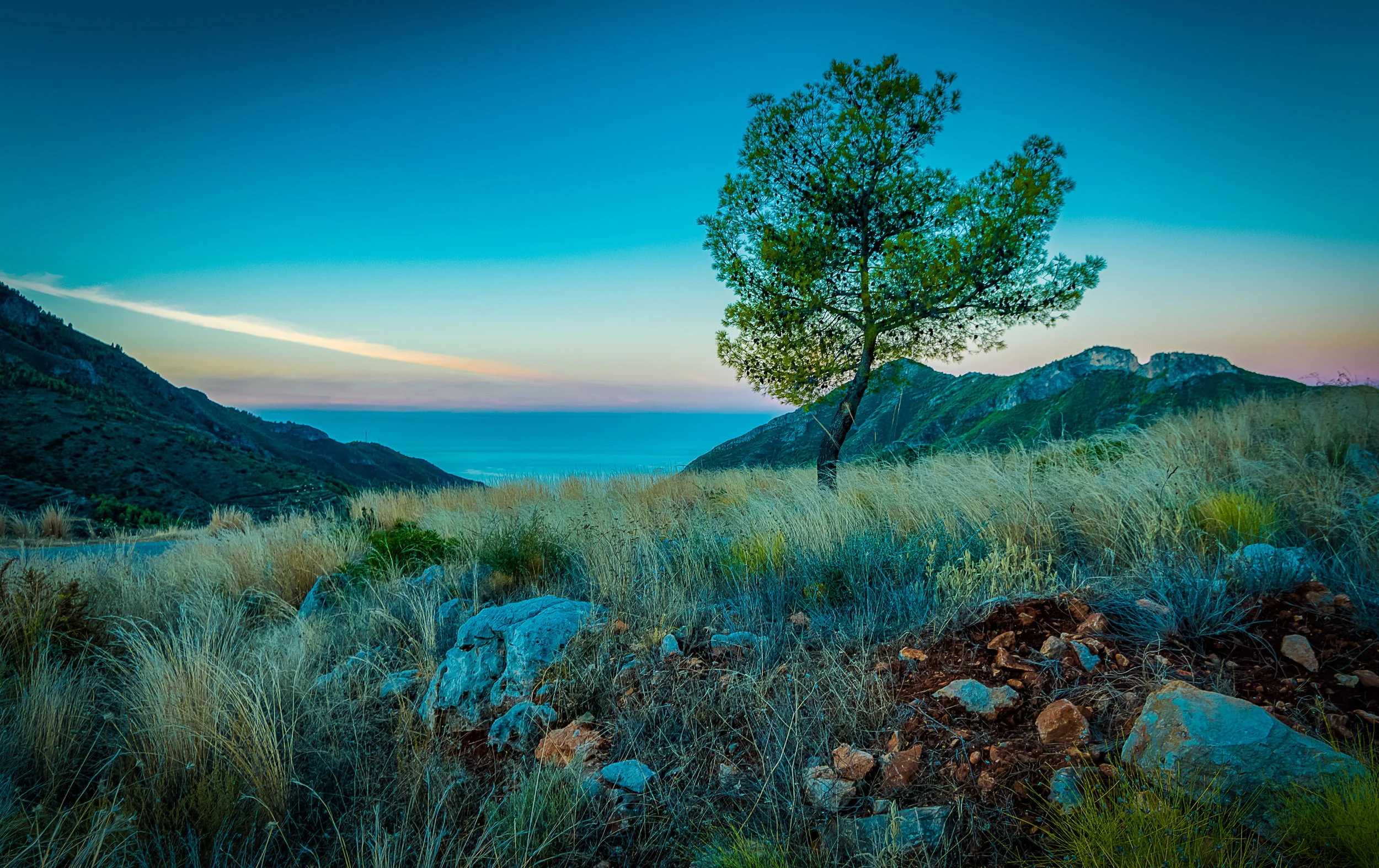 DSC_7218-Editar-2.jpg